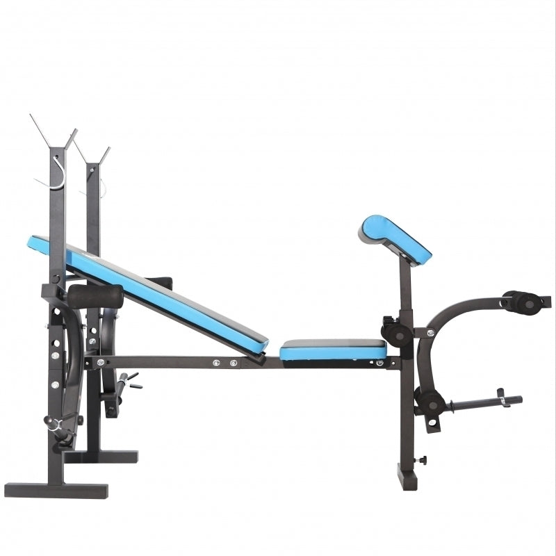 Banca de exercitii multifunctionala FitTronic Atletic B550,