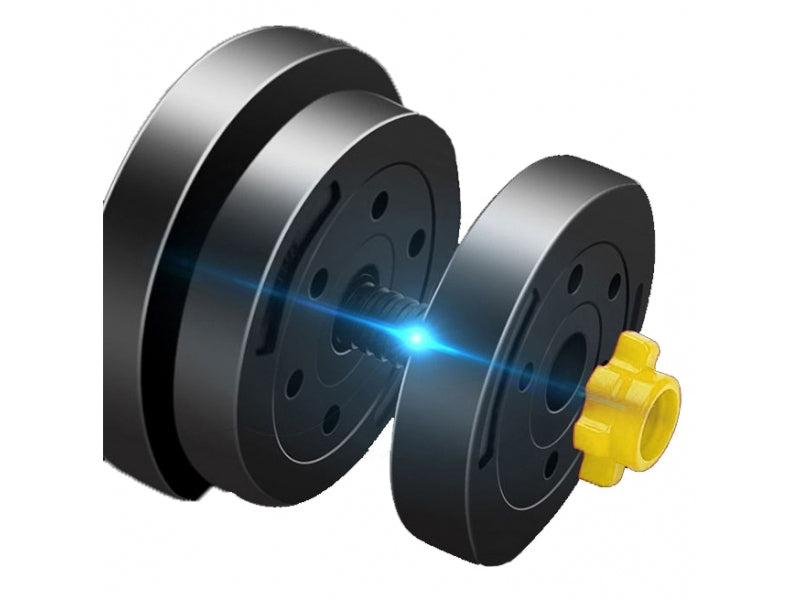 Gantera reglabila FitTronic FG10 kg