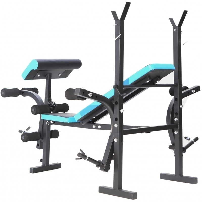 Banca de exercitii multifunctionala FitTronic Atletic B550,
