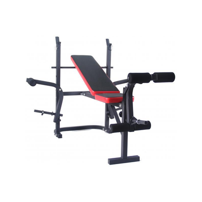 Banca multifunctionala pliabila FitTronic B300