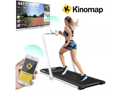 Banda de alergat electrica FitTronic Delta 1000