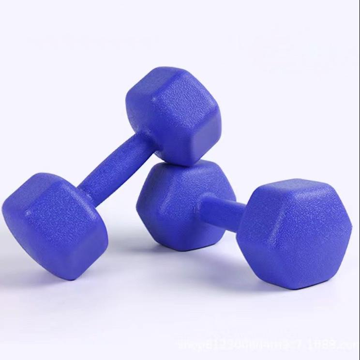 Set gantere FitTronic 2x5 kg HGR2x5